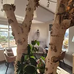 Szálloda Cit'hotel La Julia